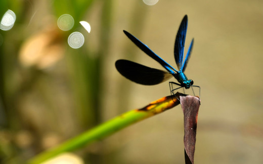 1754582 (a): :1920x1200